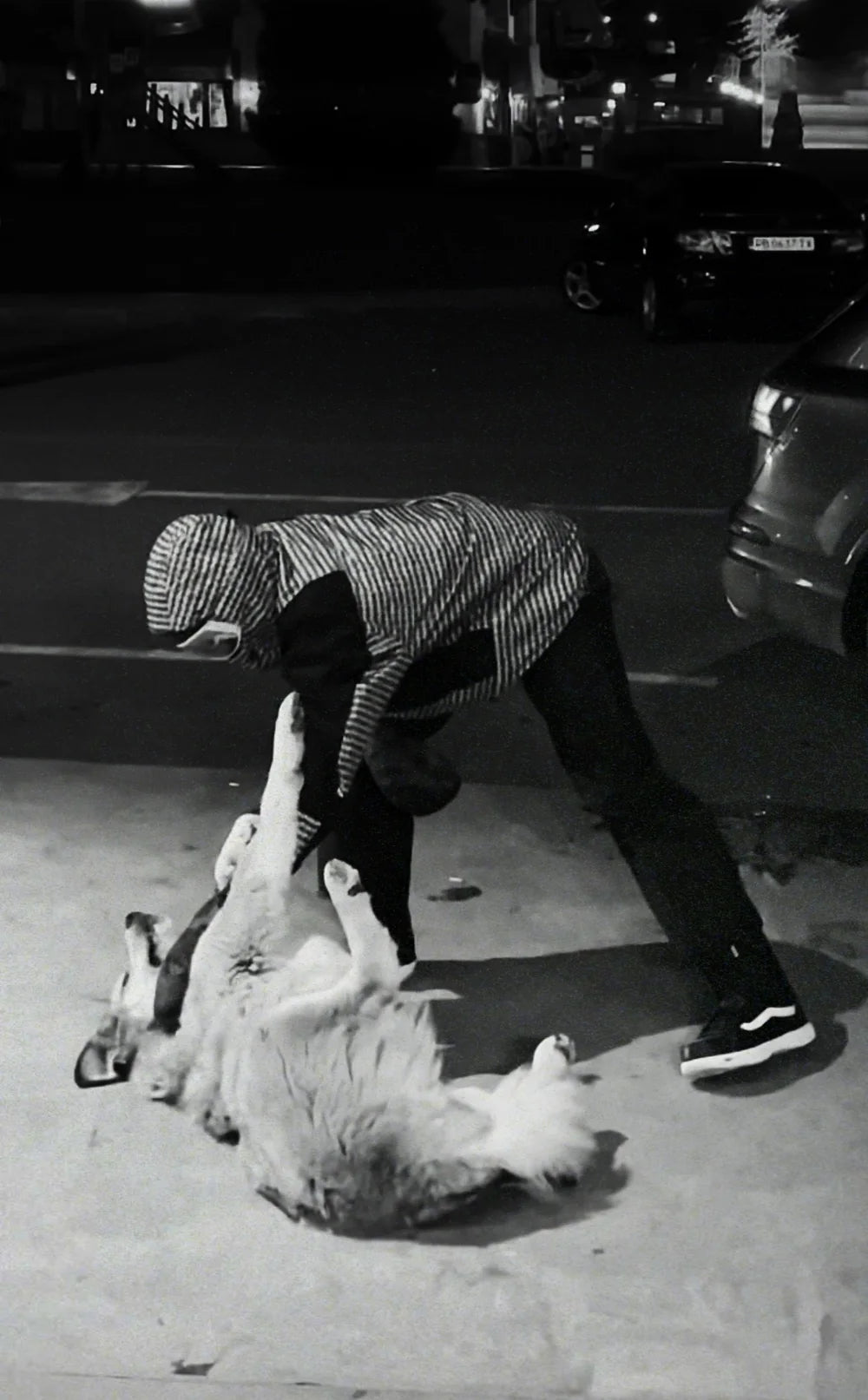 Feeding and petting a street dog at night in Bansko